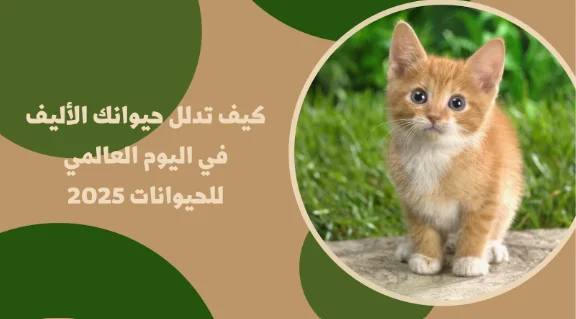 Blog-img