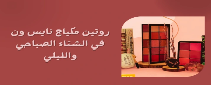 Nice One winter makeup routine for morning and night.