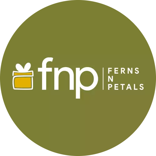 featured-store-img