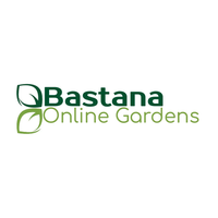 بستنة logo